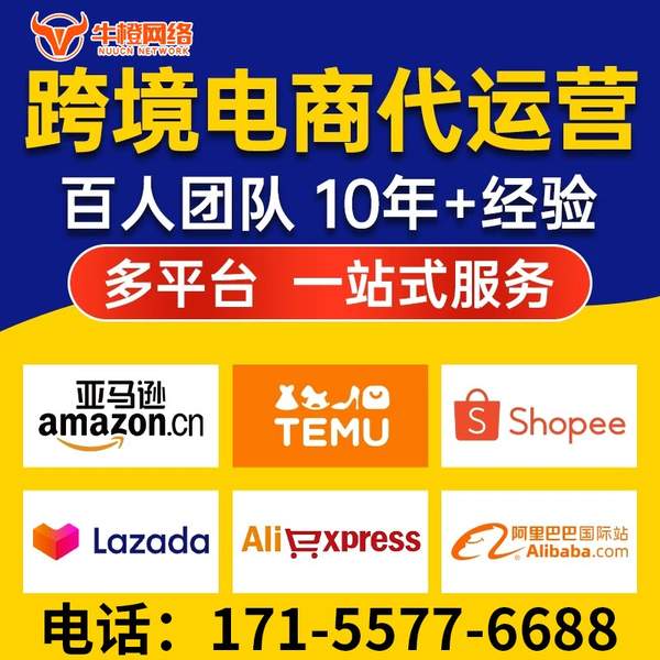 聊城电商代运营