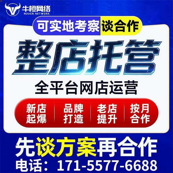 聊城电商代运营