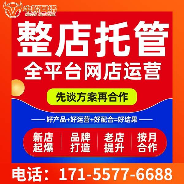 聊城电商代运营