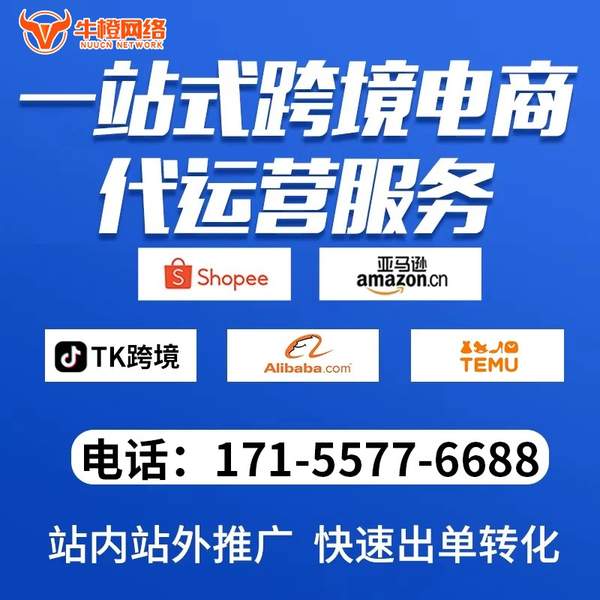 聊城电商代运营
